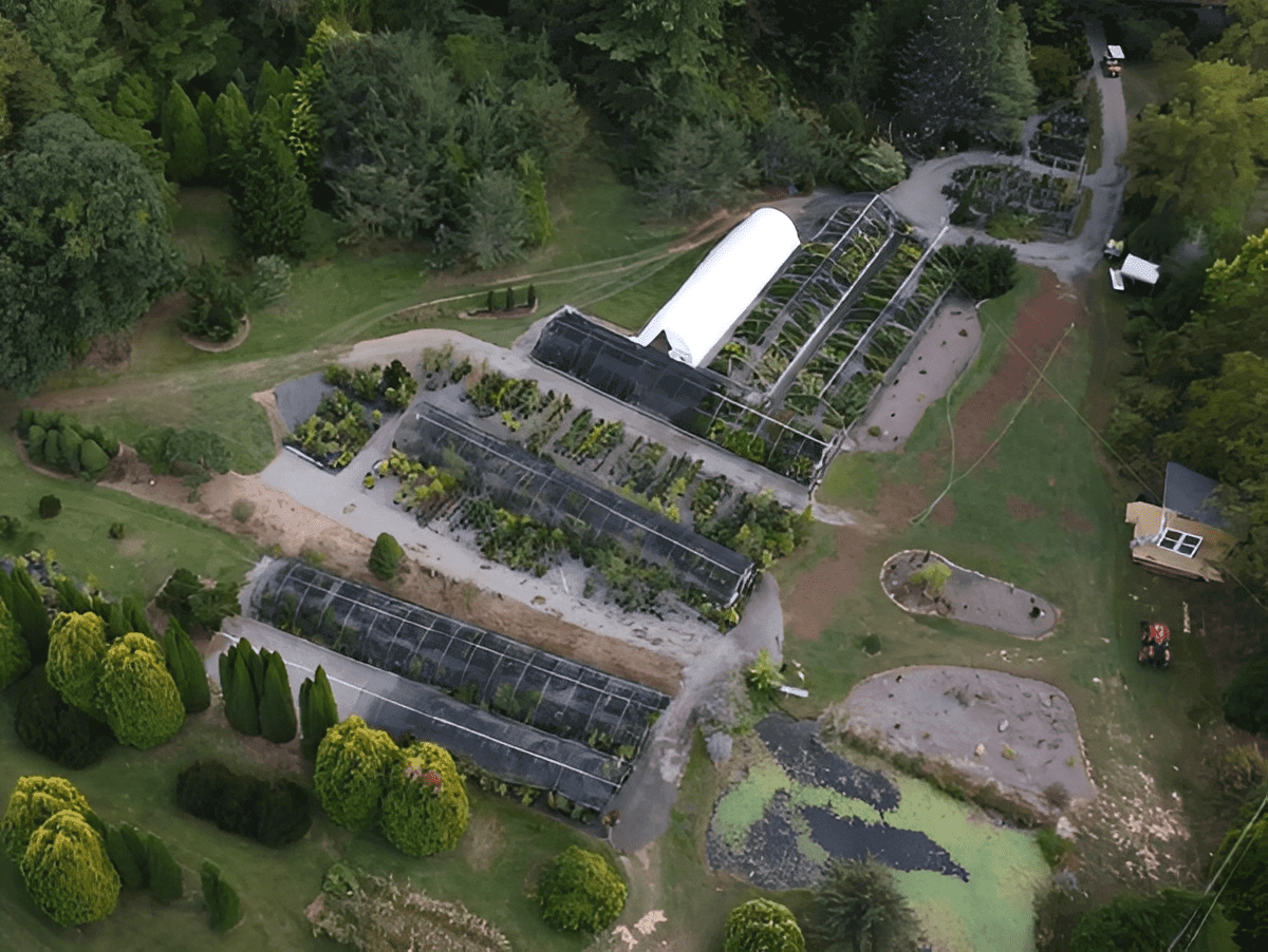 Aerial view of nursery shade houses and pond