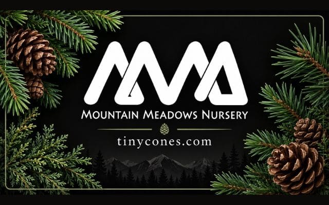 gift card image